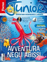 Focus Junior